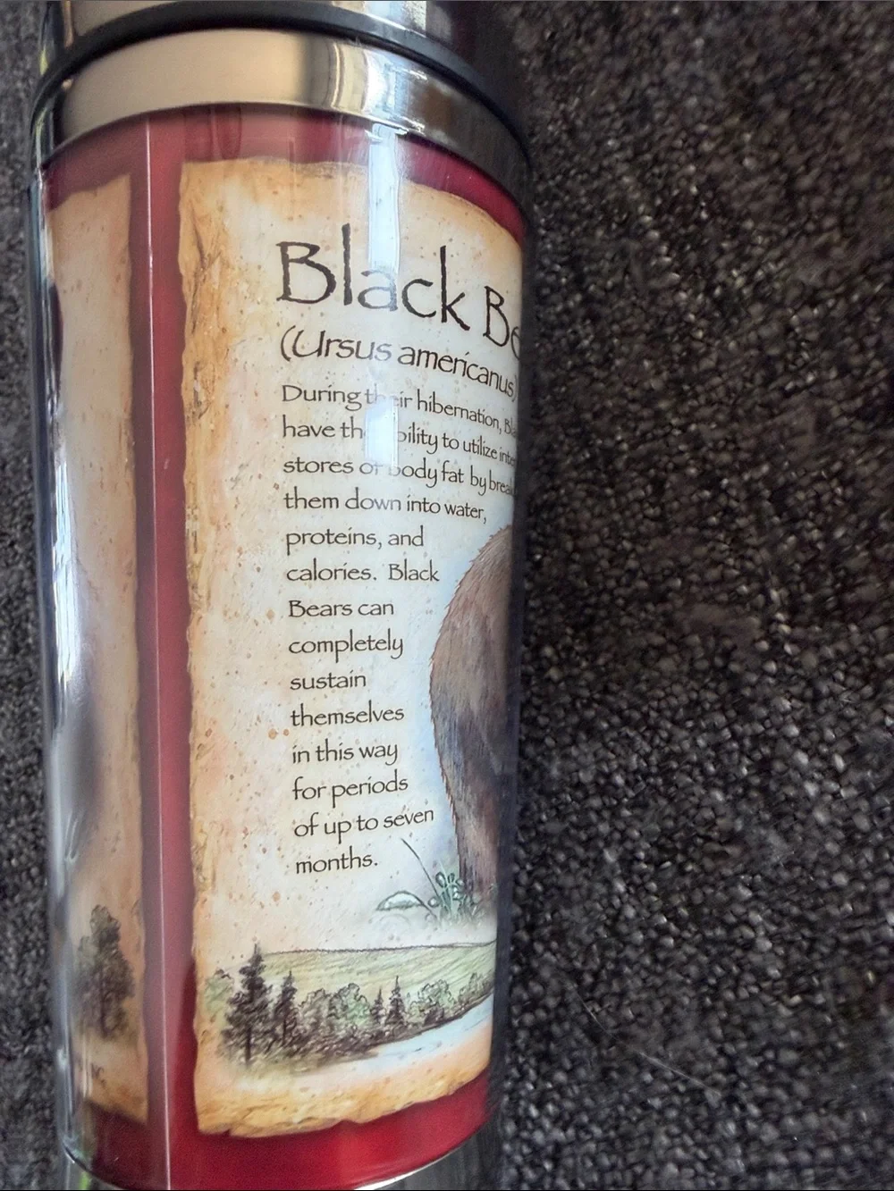 Black Bear Stainless Steel Travel Mug - Cream and Red